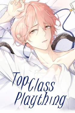 TopClass Plaything