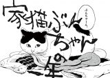 The Life of Domesticated Cat Bunchan