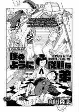 Boku no You ni Juujun na Otouto