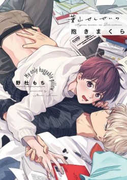 Hayamasensei no Dakimakura