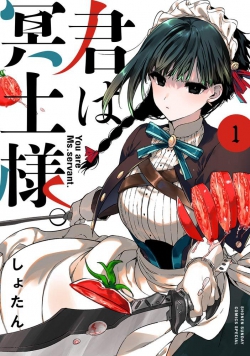 Kimi wa Meidosama