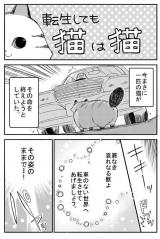 Neko no Inai Isekai ni Neko ga Tensei Shichatta Ohanashi